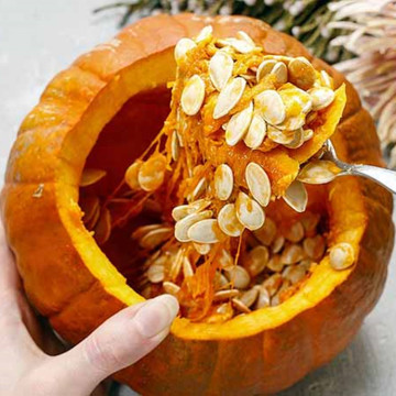 Pumpkin seeds oil pure natural