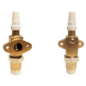 Brass Suction Valve