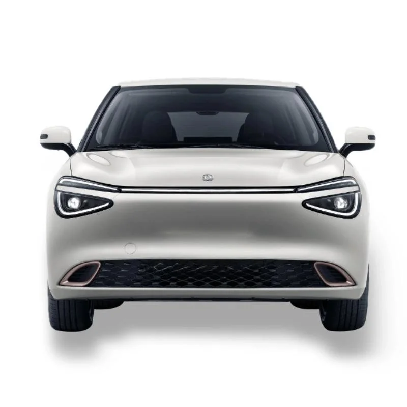 2024 Dongfeng Nano 01 City-Friendly EV