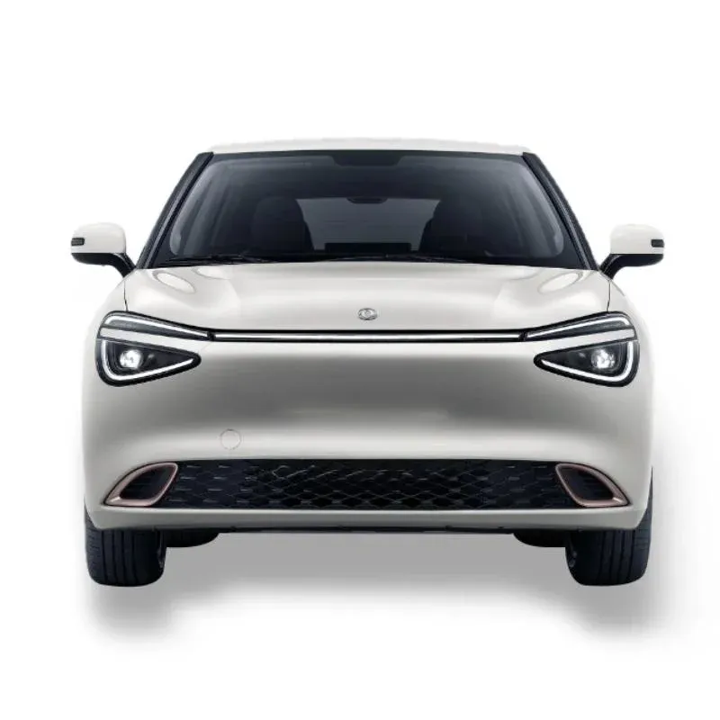 2024 Dongfeng Nano 01 City-Friendly EV