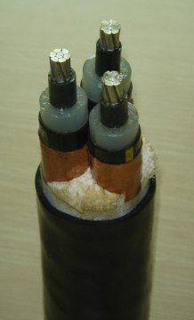 Crosslinked XLPE Insulated PVC Inner Sheath Copper tape Armoured PVC Outer Sheath marine power cable