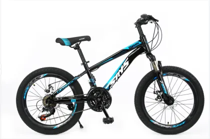 Provides Children′s Bicycles/14-18 Inch STUDENTS