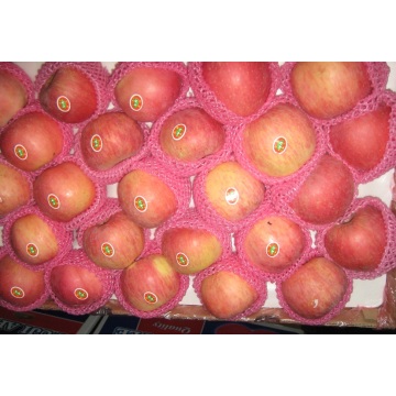 Fresh Yantai Fuji Apple