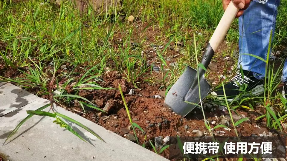 Gardening shovel pointed flat planting flowers and vegetables large flat shovel outdoor square shovel