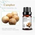 top quality wholesale bulk private label camphor oil