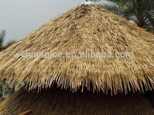 palm leaf thatch umbrella thatch