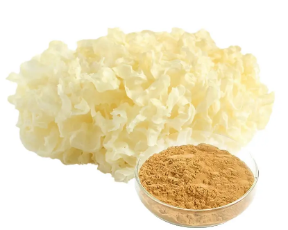 tremella fuciformis mushroom extract