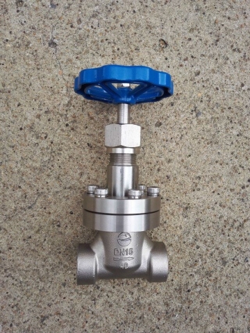 DN15-50 Low temperature Globe Valve