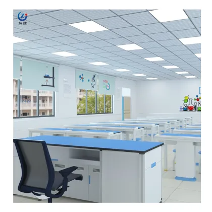 Used Science Laboratory Table for Kids
