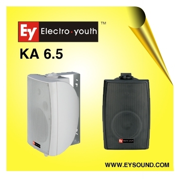 pa speaker KA6.5