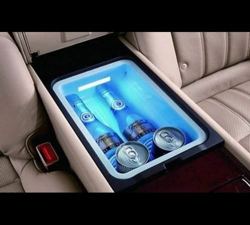 Compact 12V 24V DC Fridge with Compressor for Home and Car