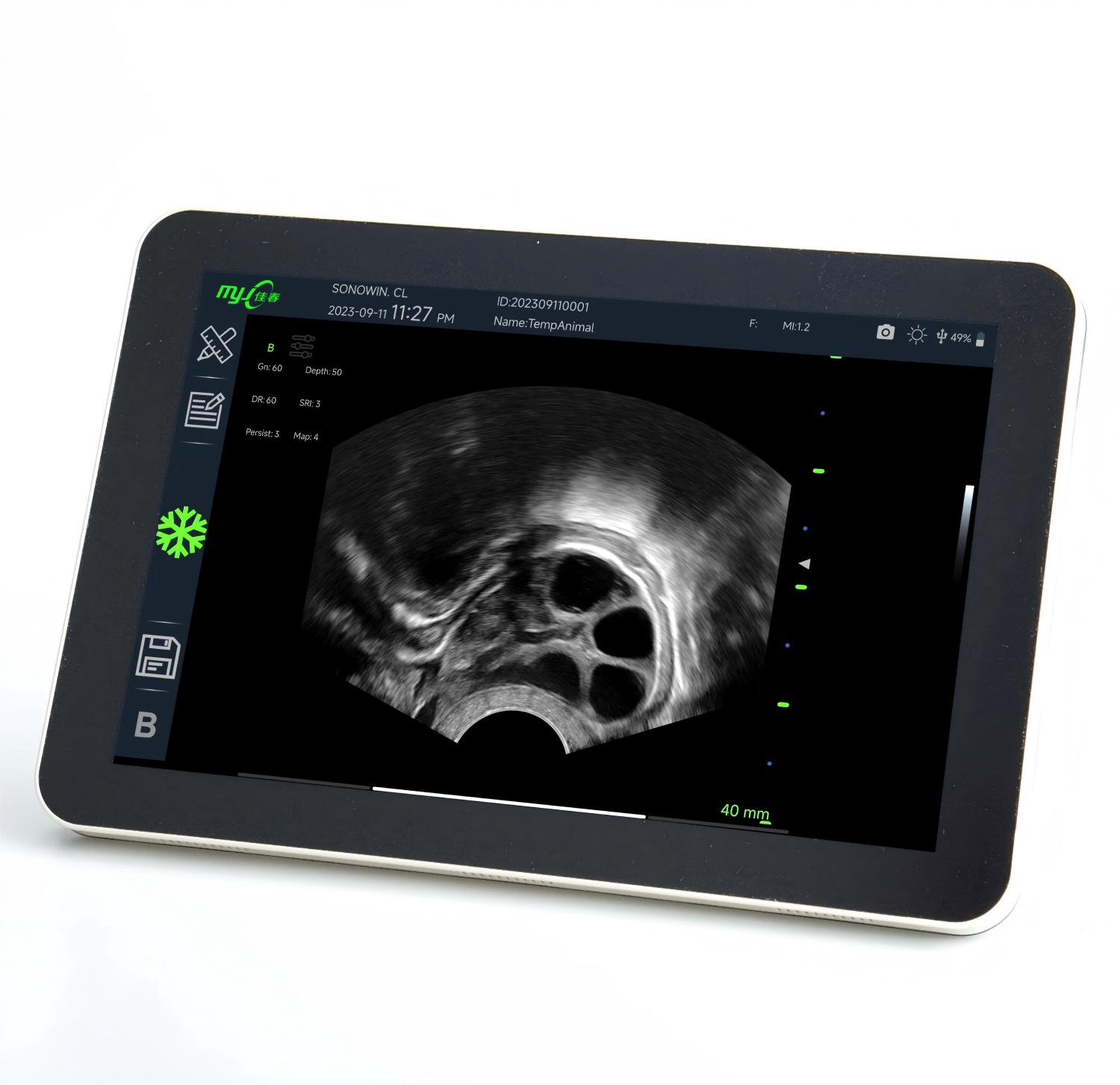 cattle ultrasound equipment