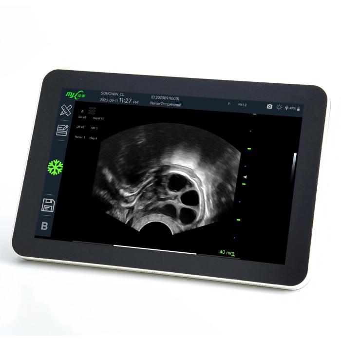 equine ultrasound machine price