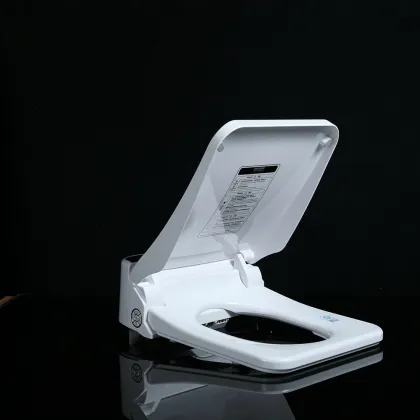 Intelligent Automatic Wash Toilet Seat - China Supplied Bidet Smart Toilet Cover Seat