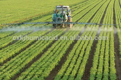 Amino Acid Powder With 40% Free Amino Acid