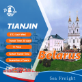 Shipping Agent For Sea Freight Tianjin To Belarus
