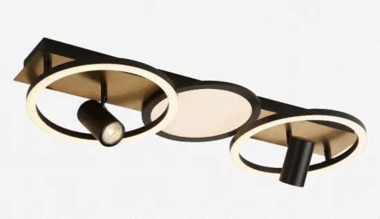 Led Flush Mount Ceiling Light With Spotlight