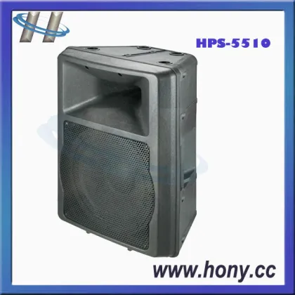 10" 2-Way Pro Audio