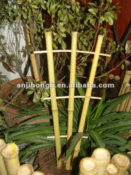 Garden Build Natural Hooped Bamboo Ladder Trellis