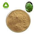 Cactus Extract Flavon Poeder 10:1