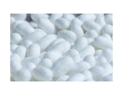 Discovering Natural Beauty: Exploring Oval Cocoon White Silk Patterns with a Natural Cocoon Opener