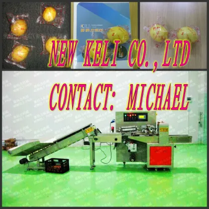 Single lemon automatic wrapping machine