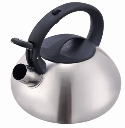 Polish finish tea kettle induction amazon