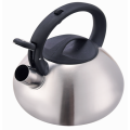 Polish finish tea kettle induction amazon