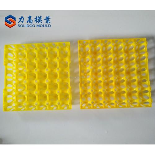 Moden design plastic injection egg tray mould maker