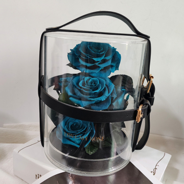 Secret Garden Eternal Flower Rose: Perfect New Year, Valentine's Day, and Birthday Gift for Best Friend or Girlfriend