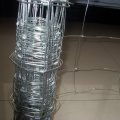 /msite/products/detail/productid/57563047/id/675815.html