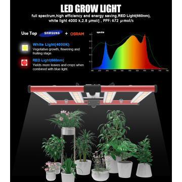 Veget Bloom Full Spectrum LED Grow Light