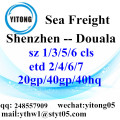 Services de logistique de Shenzhen à Douala