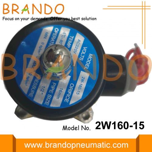 2W160-15 Su Arıtma İçin Solenoid Valfler