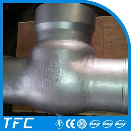 china supplier API 6D pressure seal bonnet swing check valve                
                                    Quality Assured