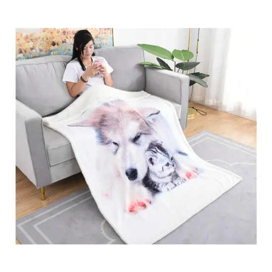 Factory Direct Supply sherpa throw blanket 100% Coral Fleece for in the winter to keep warm