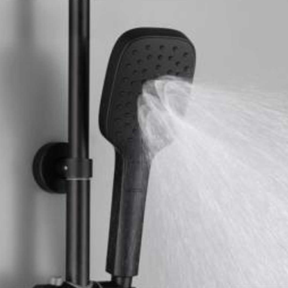 Black High End 2 function Shower system