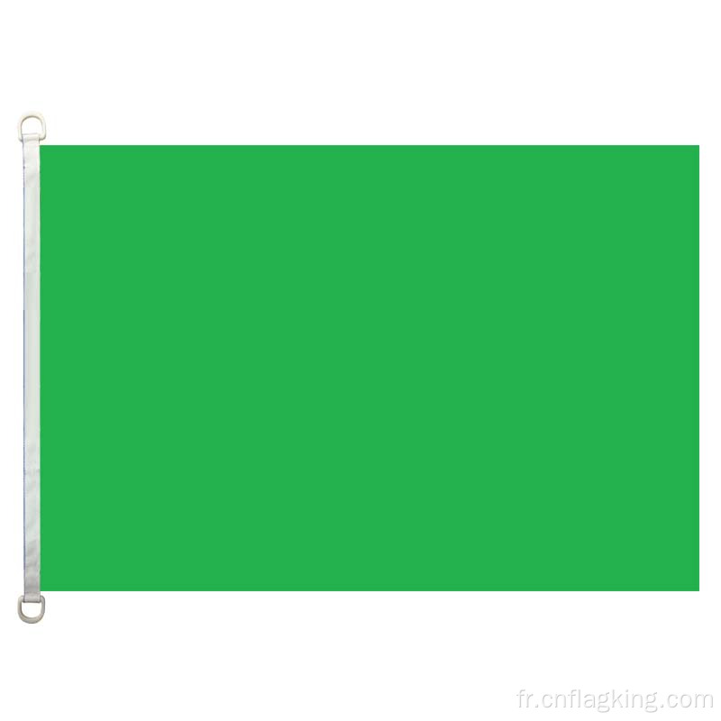 90*150cm F1_drapeau vert 100% polyester