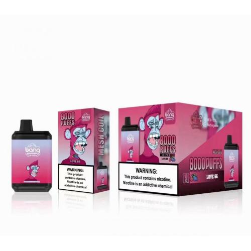 Vente chaude Bang King 8000 Puffs Pays-Bas en gros