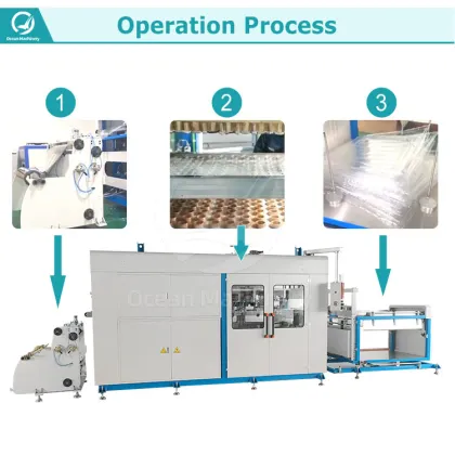 Ocean Plastic Egg Tray and Disposable Cup Making Machine Price