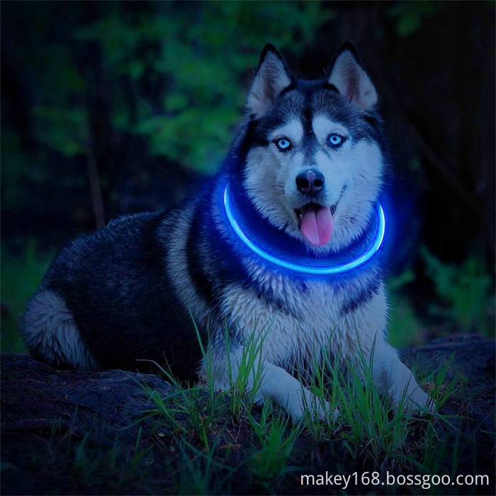 Pvc Dog Collars Pvc Dog Collars