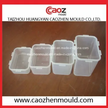 Different Volume Plastic Lock Lock Container Mould