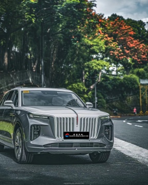 Long Battery Life Hongqi E-HS9: 2024 Top 5-Door 7-Seater New Energy SUV
