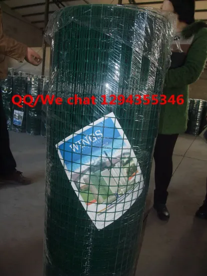 china factory green color 1/2 inch Vinyl Coated welded wire mesh