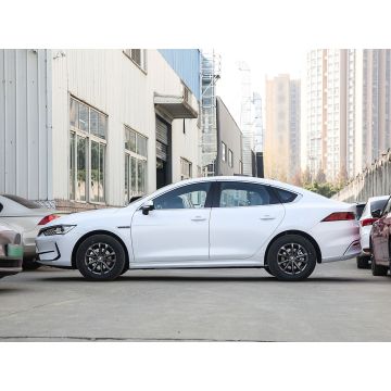 2023 BYD Qin Plus EV 510km