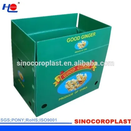 Logistics Packaging Corrugated Plastic Carton Box