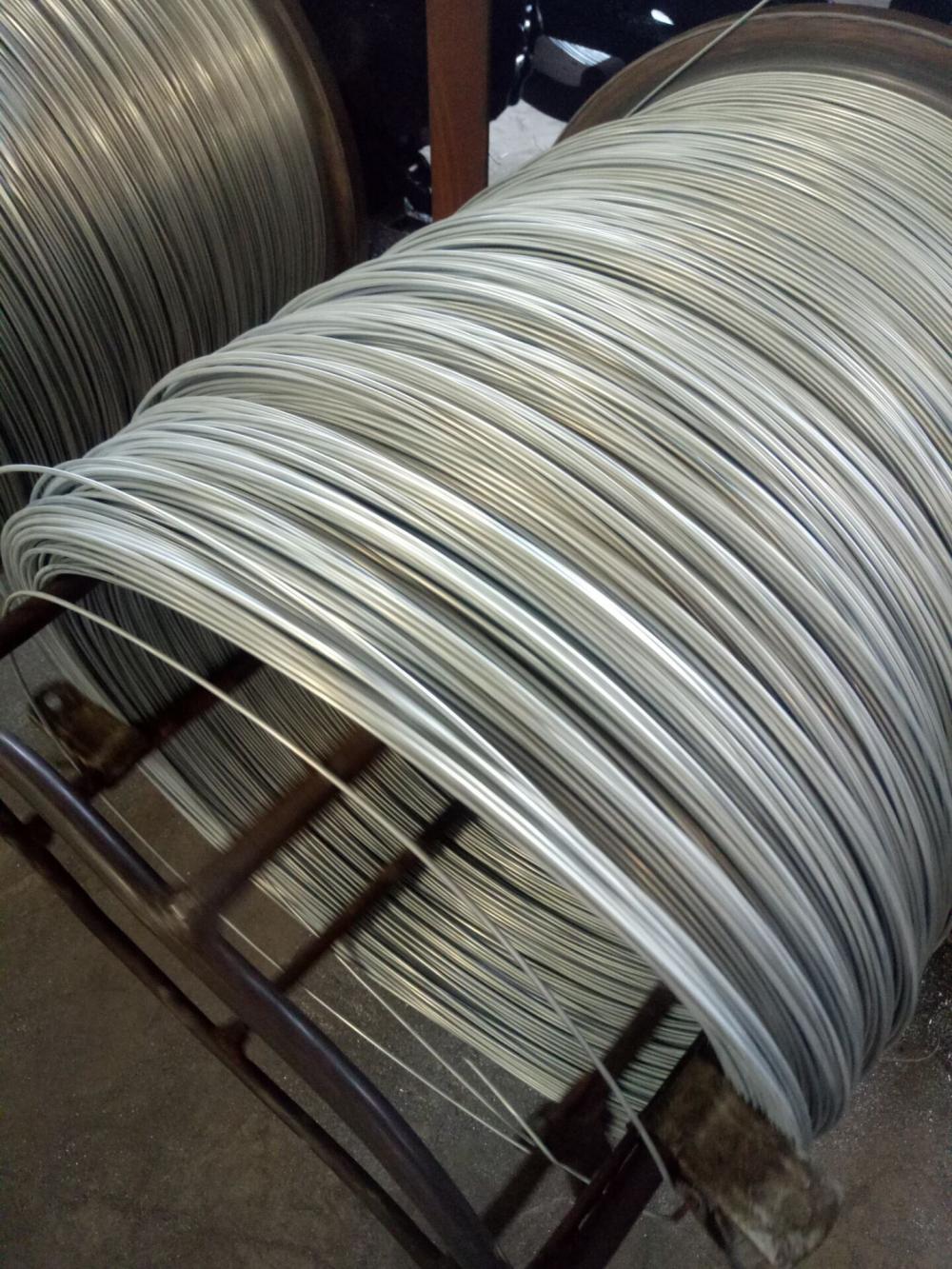 Galvanized Wire for Building