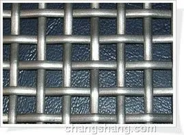 Galvanized Square Wire Mesh