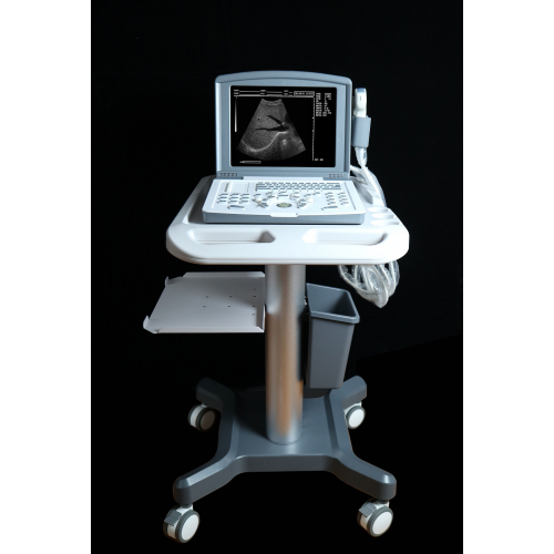 Human Ultrasound Scanner portable b ultrasound black and white ultrasound Factory