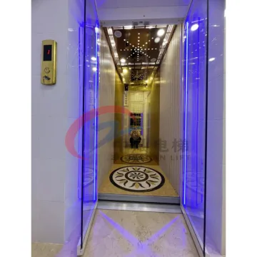 Customized 3-14m outdoor indoor hydraulic villa lift